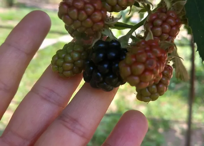 Casa Marcella Lägenhet *