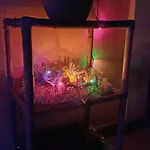 Casa Marcella アパート *