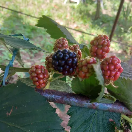 아파트 Casa Marcella