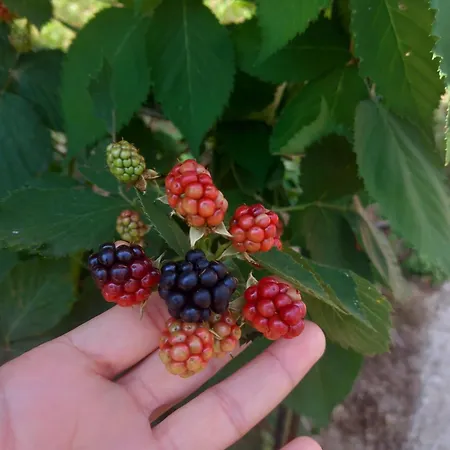 Casa Marcella 아파트 라스페치아