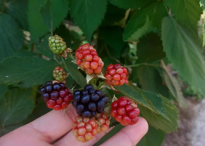 Casa Marcella شقة لا سبيتسْيا